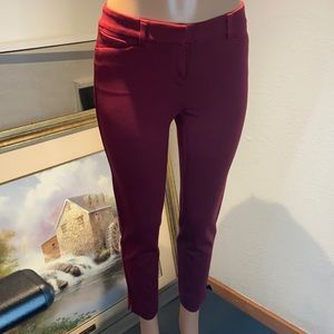 NWT WHBM Women’s Pants